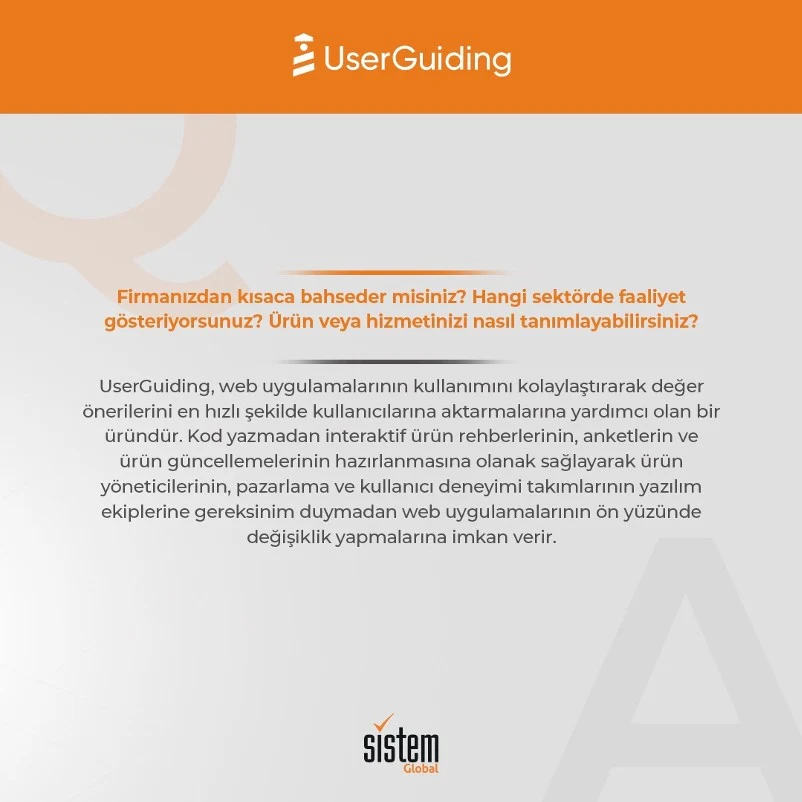 Sistem Global Danışmanlık UserGuiding2